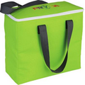Arctic Zone  30-Can Foldable Freezer Tote, Bag